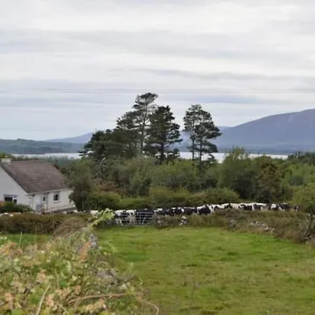 Twin View - In Pontoon