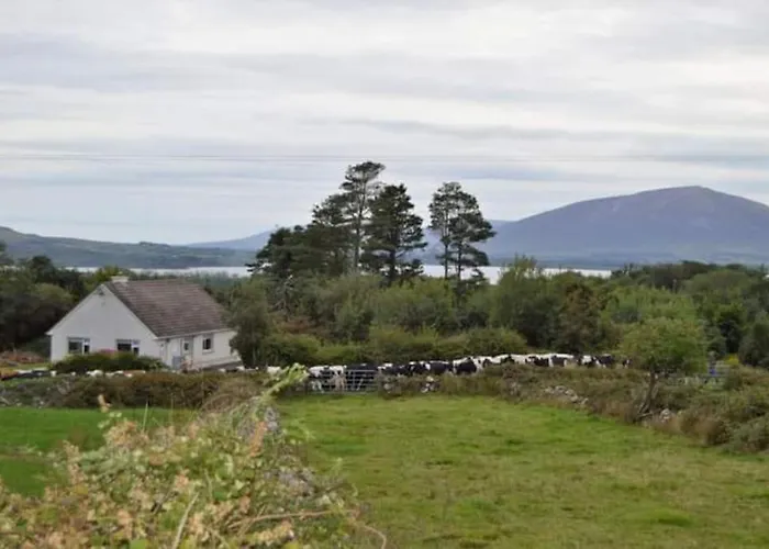 Twin View - In Pontoon